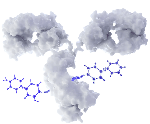 3D visualization of an antibody-drug conjugate