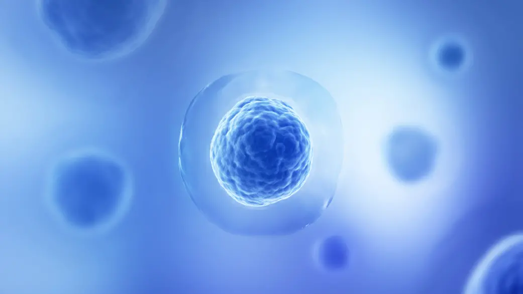 Engineering the next wave of CHO performance with SCHOice 2G Platform